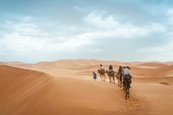 Ouarzazate to Fes Desert tour 3 Days