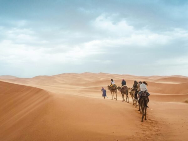 Ouarzazate to Fes Desert tour 3 Days